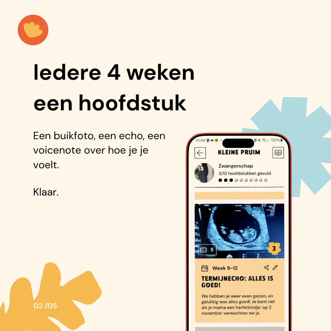 Iedere 4 weken een hoofdstuk: een buikfoto, een echo, een voicenote over hoe je je voelt. Klaar.